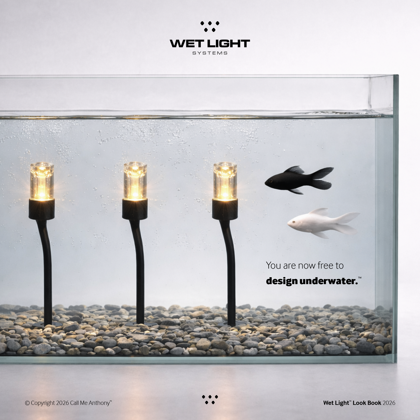 Wet Light Systems 2026 Look Book