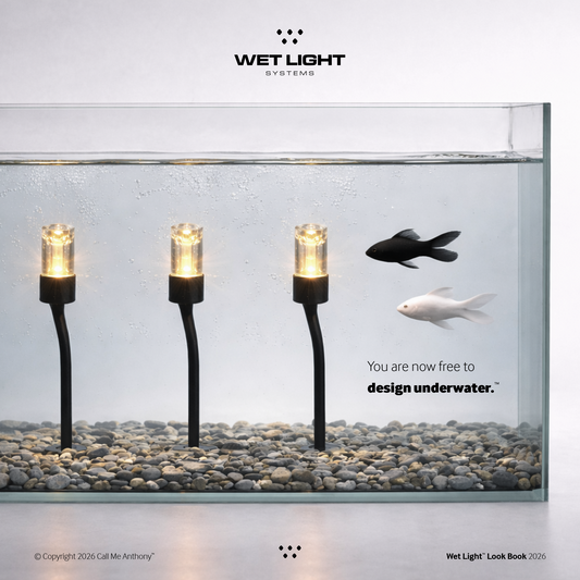 Wet Light Systems™ 2026 Look Book